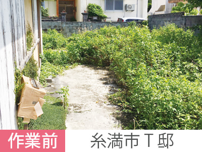 草刈り木の伐採